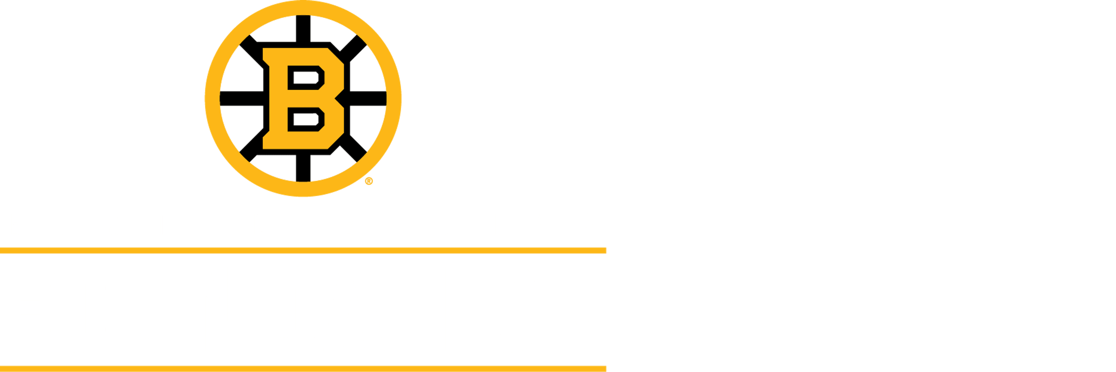 Boston Bruins Foundation logo