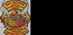 Big Moose Fire Company