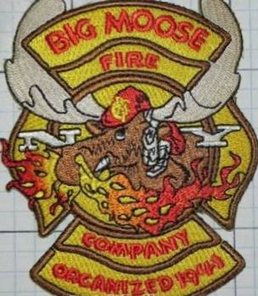Big Moose Fire Company logo