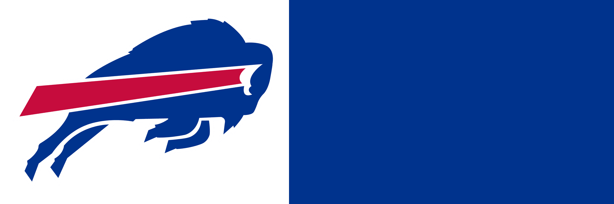 Buffalo Bills Foundation Inc. logo