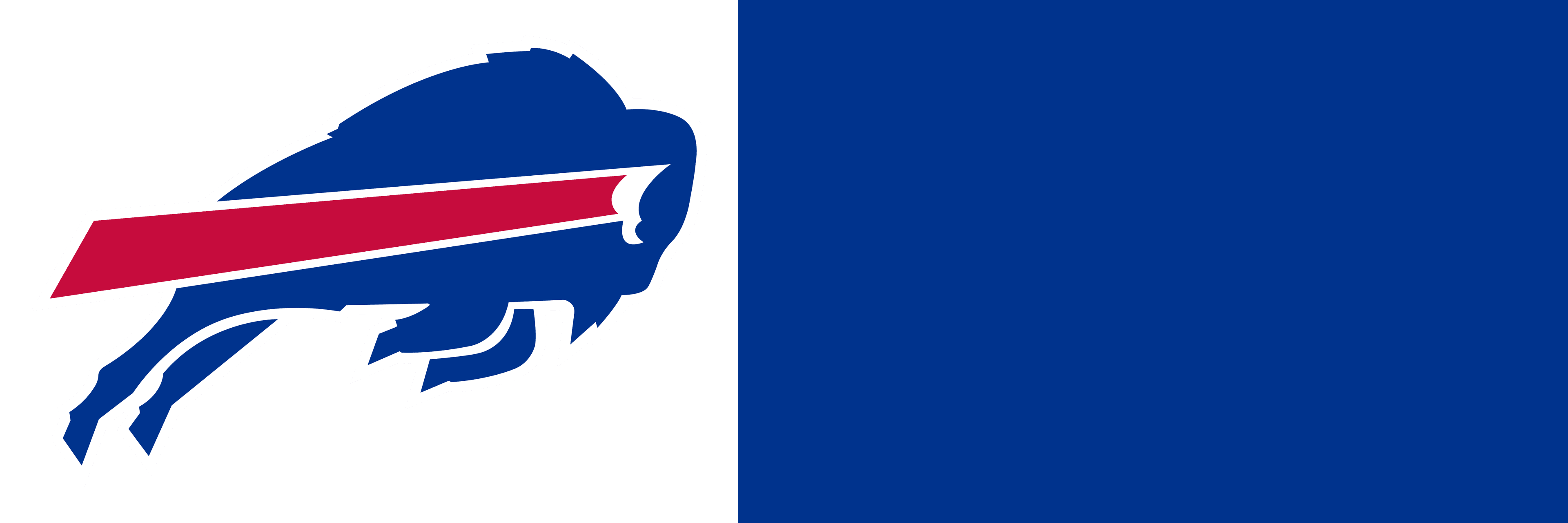 Buffalo Bills Foundation Inc. logo