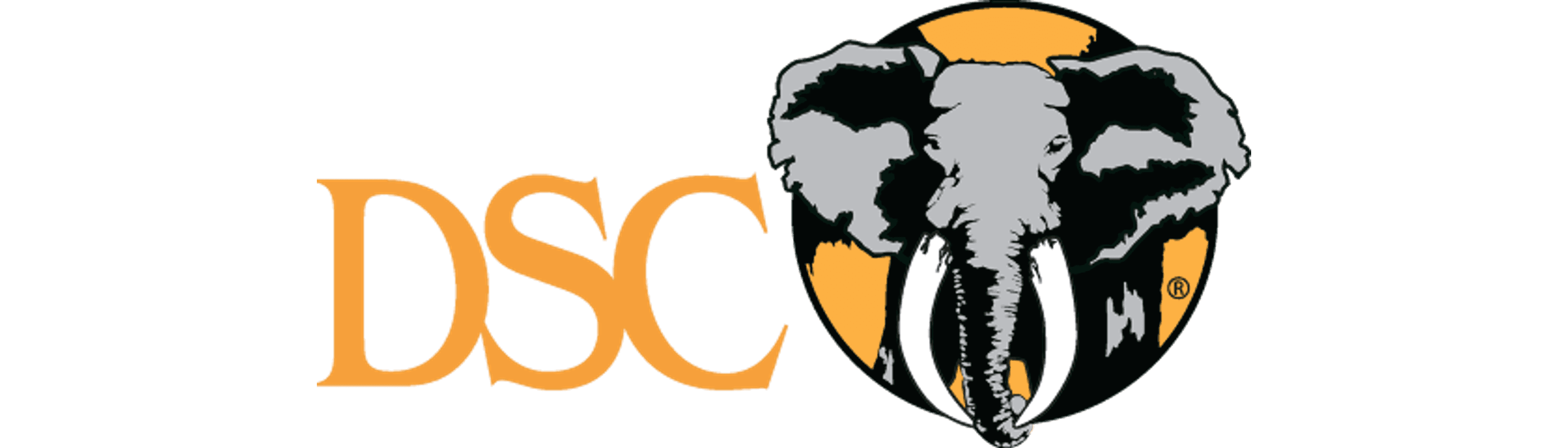 2026 DSC 50-50 Raffles logo image