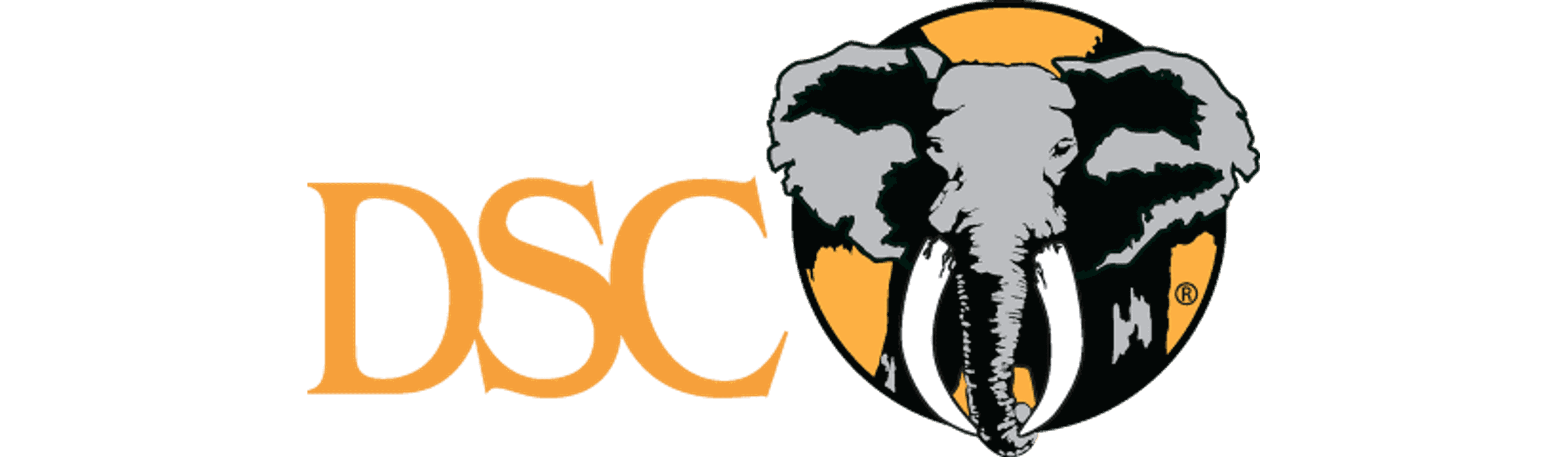 Donate to DSC logo image