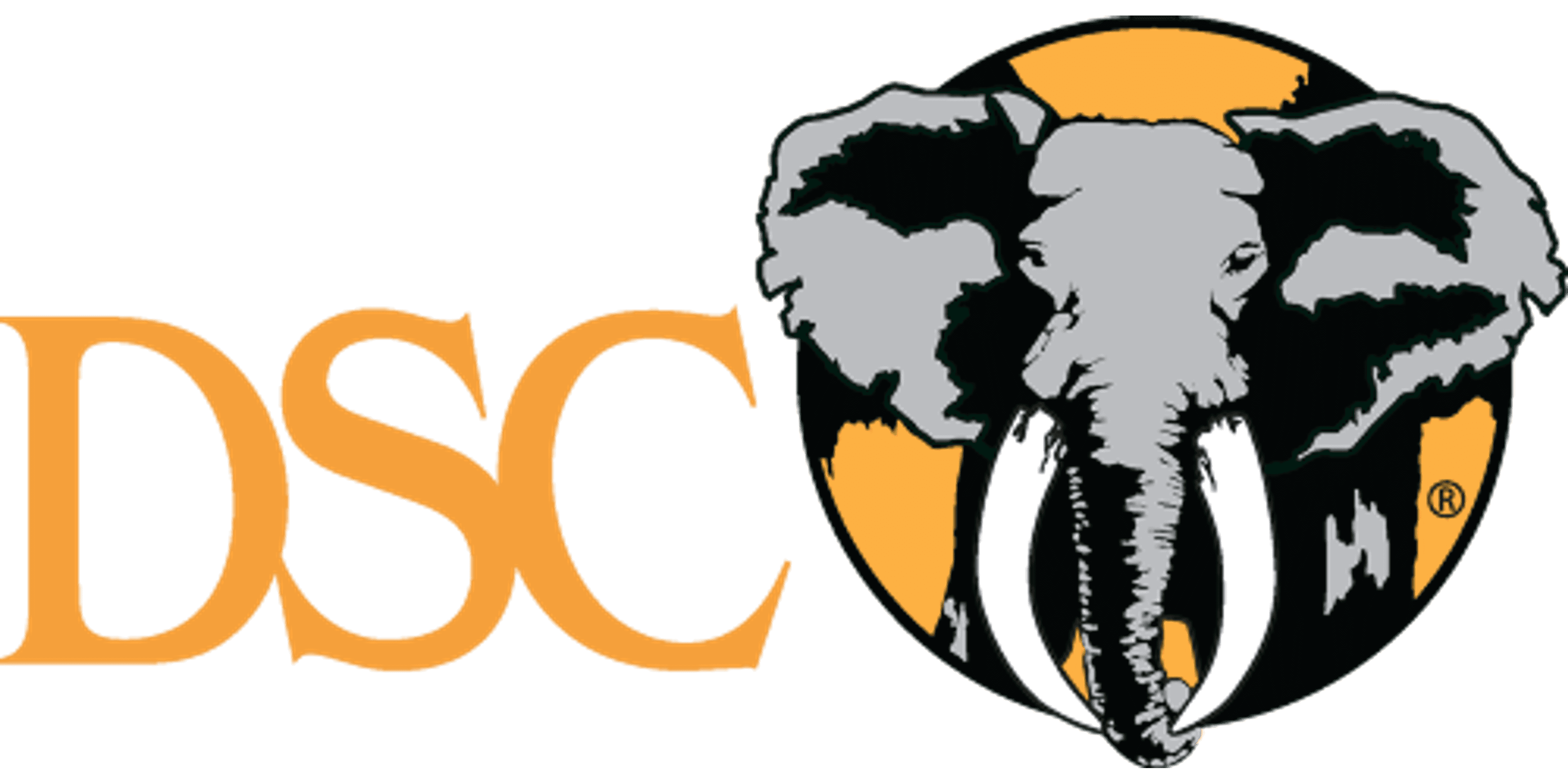 DSC FOUNDATION RAFFLES logo image