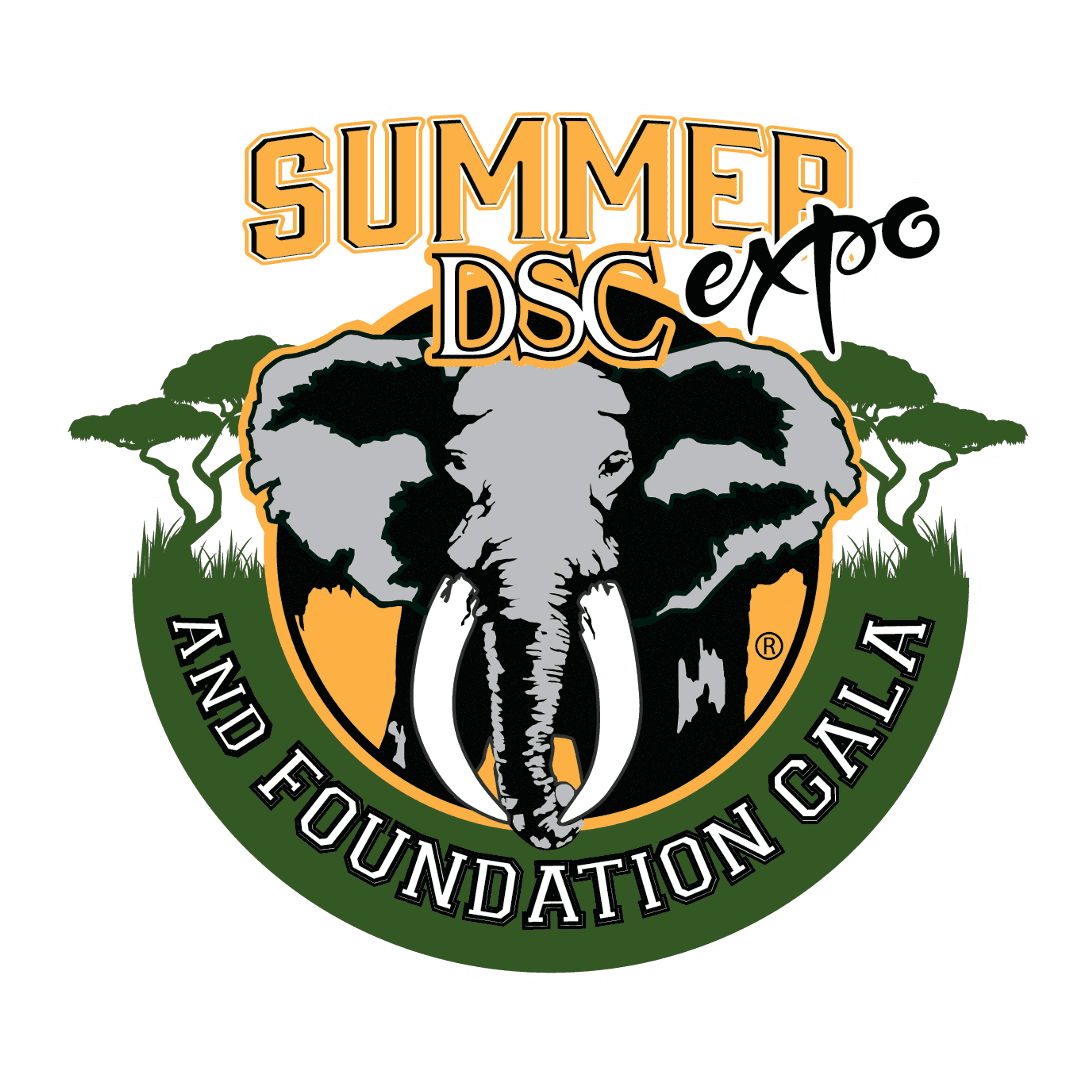   DSC 2025 Inaugural Summer Expo Raffles  logo image