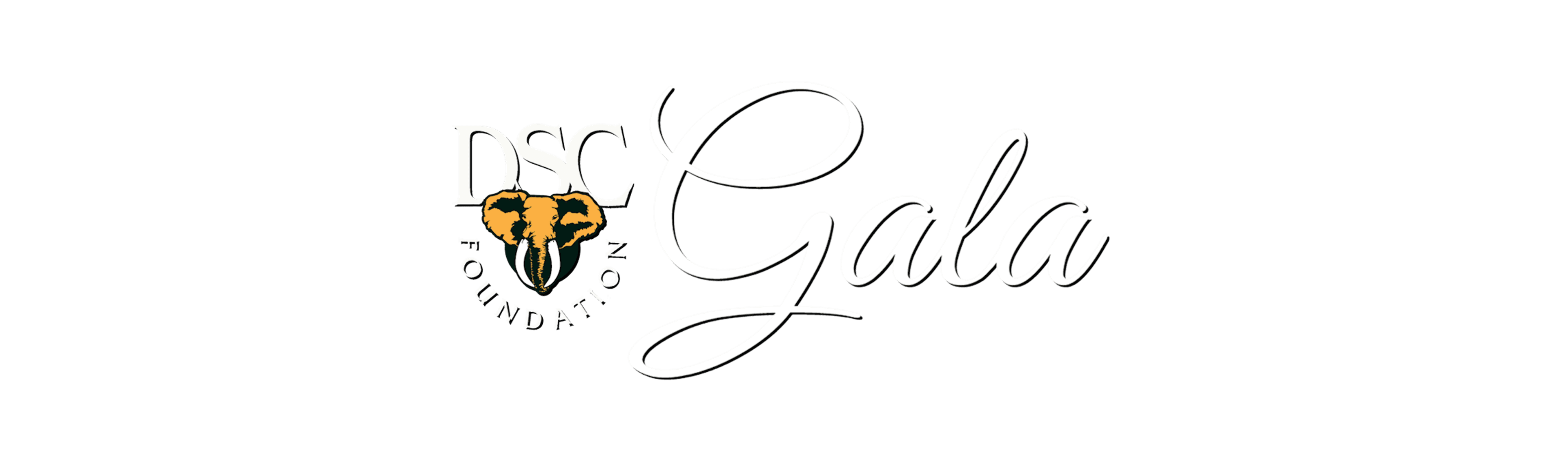DSC Foundation Hauffpauir Polaris Raffle logo image