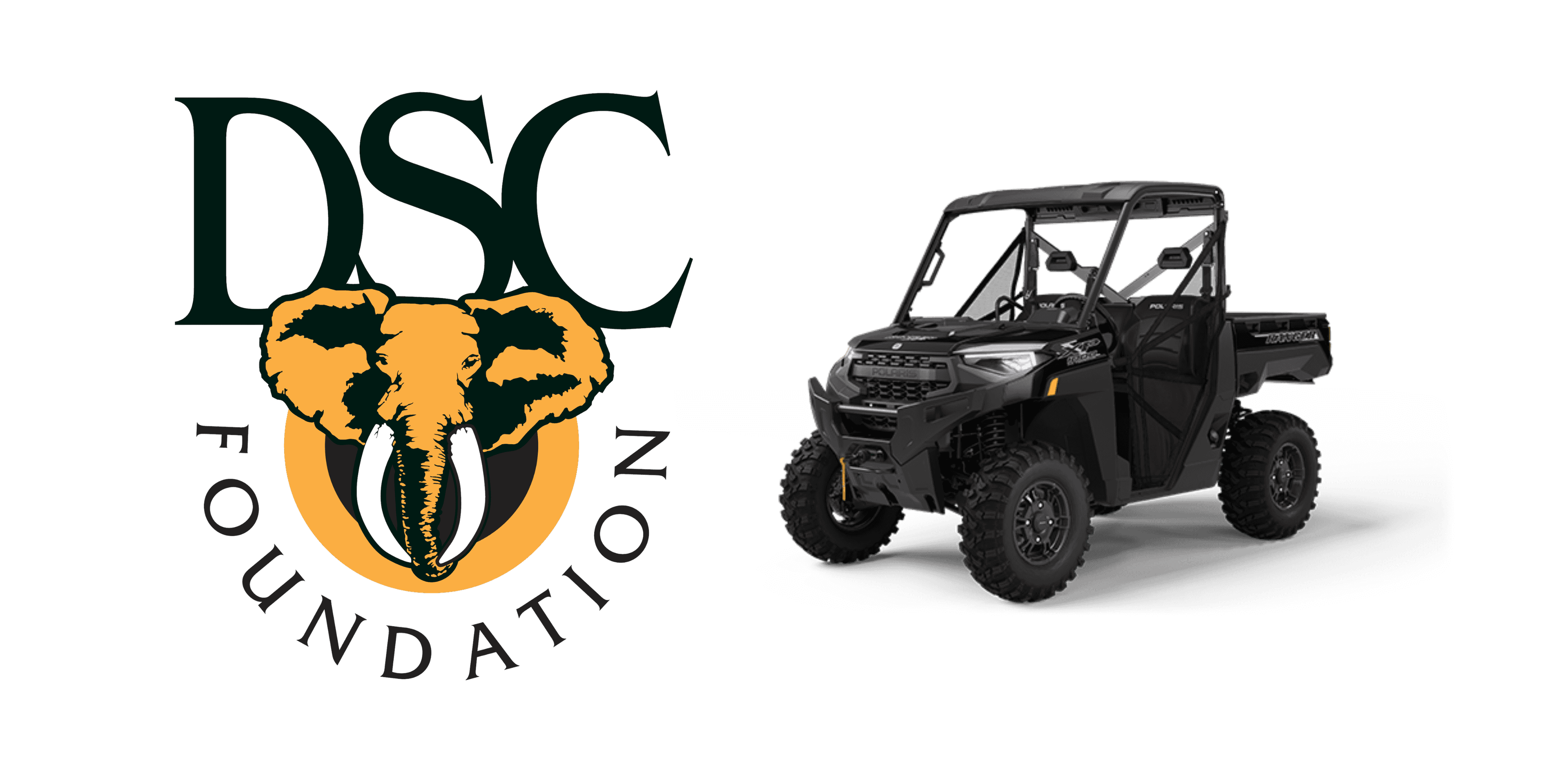 DSC Foundation Hauffpauir Polaris Raffle logo image