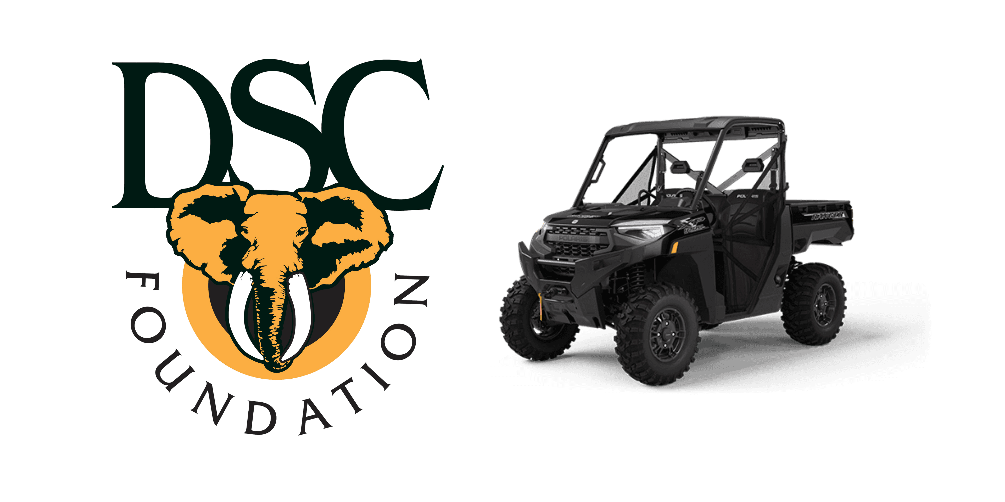 DSC Foundation Hauffpauir Polaris Raffle logo image