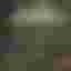 EXCLUSIVE GUN OF THE YEAR