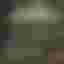 EXCLUSIVE GUN OF THE YEAR