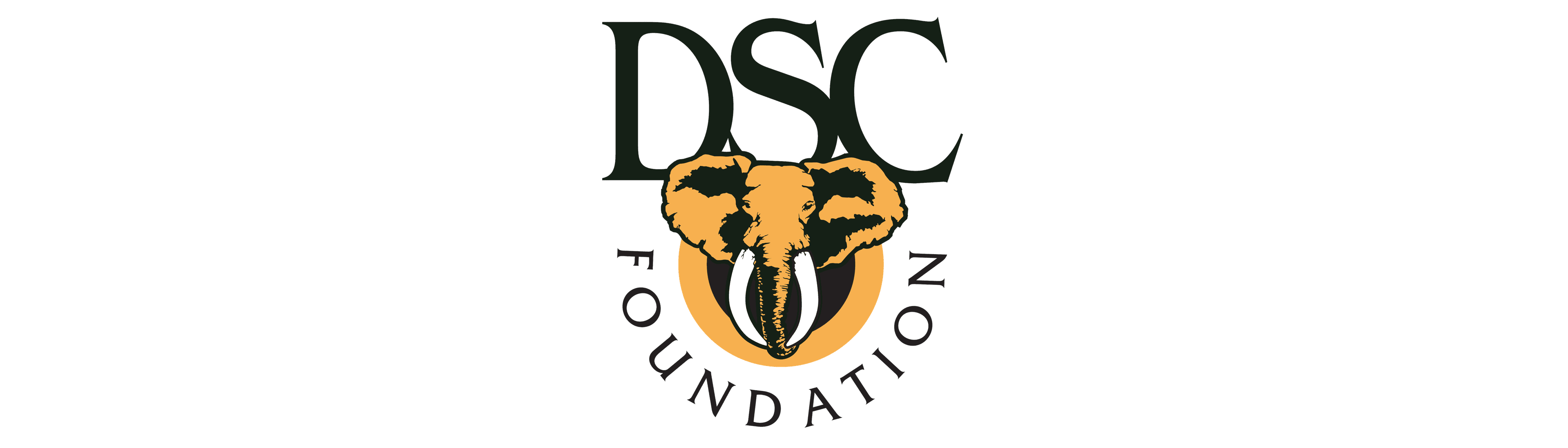 DSC Foundation logo with an elephant head on a yellow circular background, featuring black typography