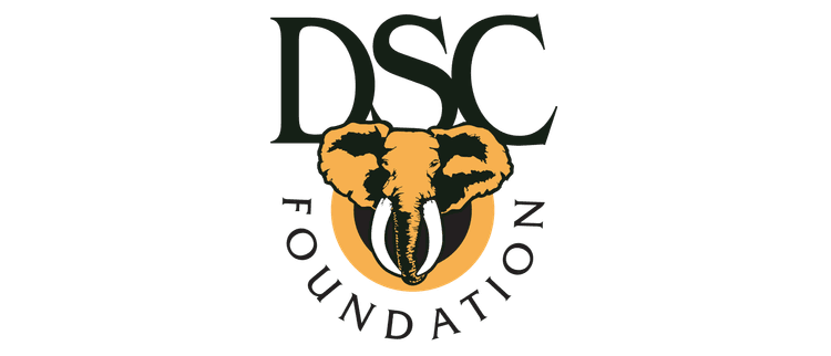 DSC Foundation logo with an elephant head on a yellow circular background, featuring black typography