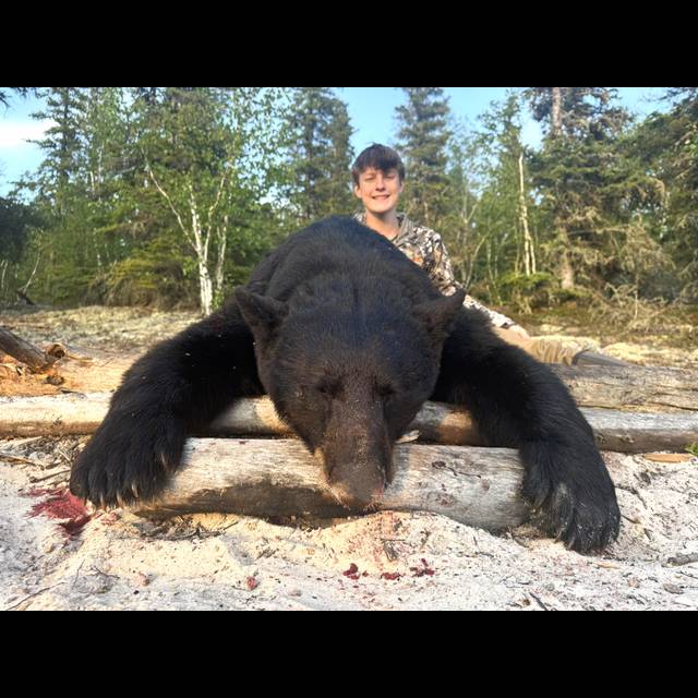 A young boy smiles while posing with a large black bear in a forest clearing surrounded by evergreen trees and fallen logs.