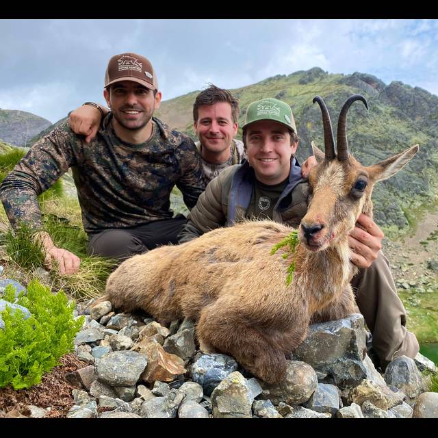 Three hunters pose with a harvested mountain goat on rocky alpine terrain, with forested mountains visible in the background under a partly cloudy sky.