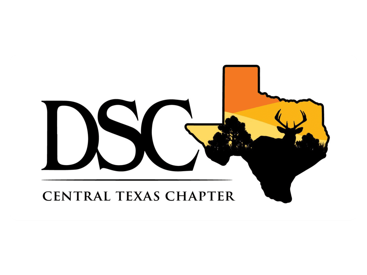 DSC Central Texas logo