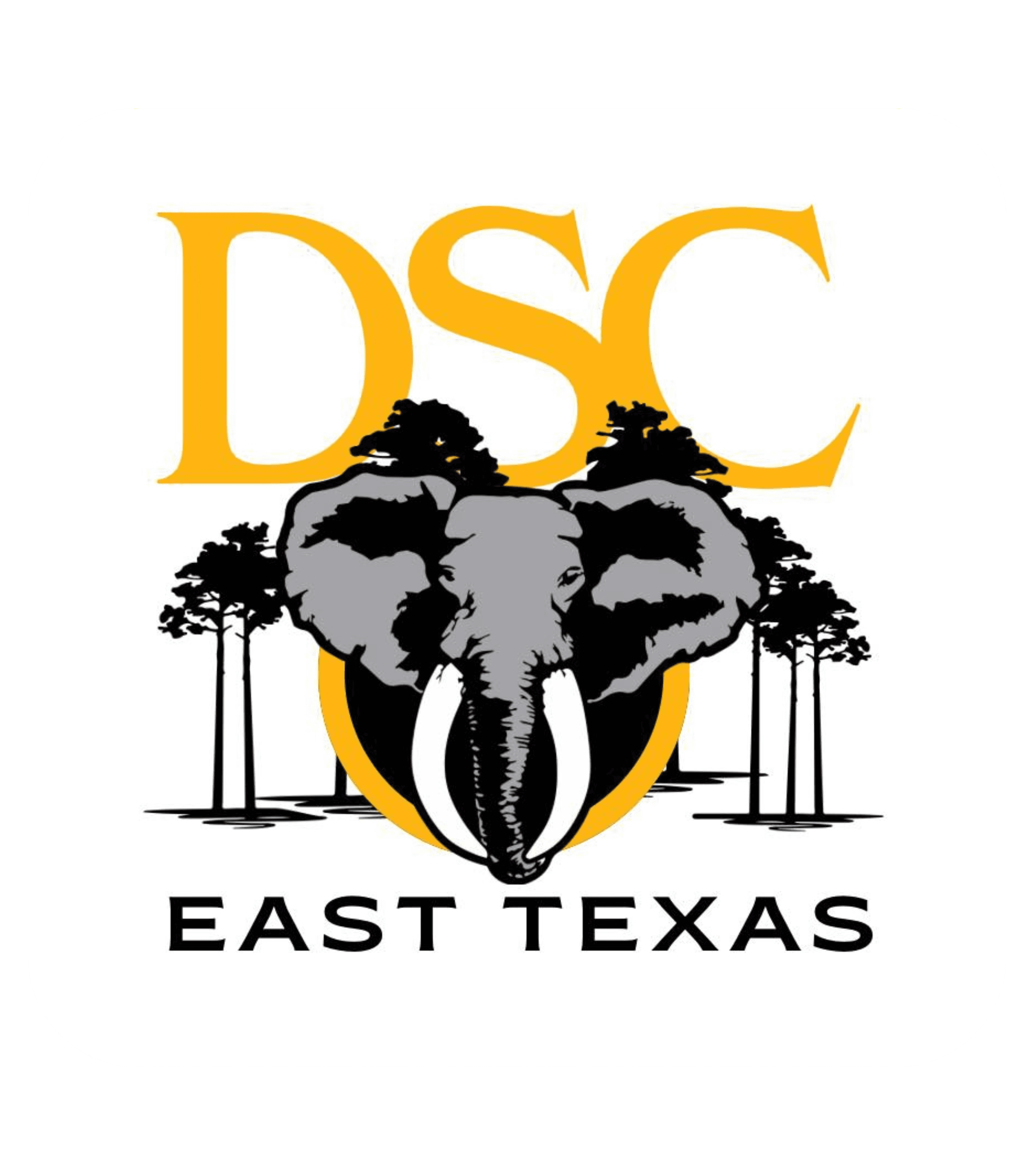 2025 SPORTSMAN'S NIGHT OUT logo image