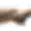 Browning Xbolt 2 hunter Walnut