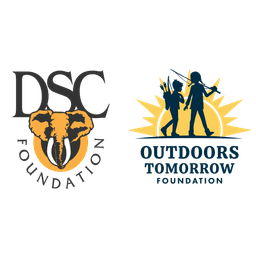 DSC Foundation logo