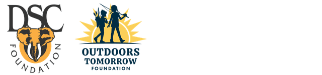 DSC Foundation