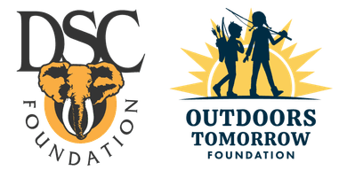 DSC Foundation
