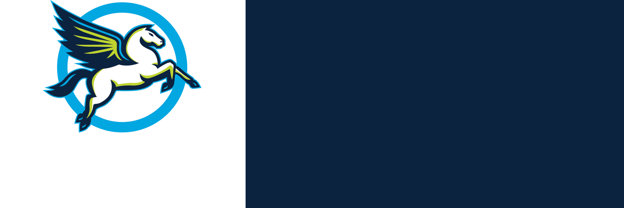 Dallas Wings Community Foundation logo