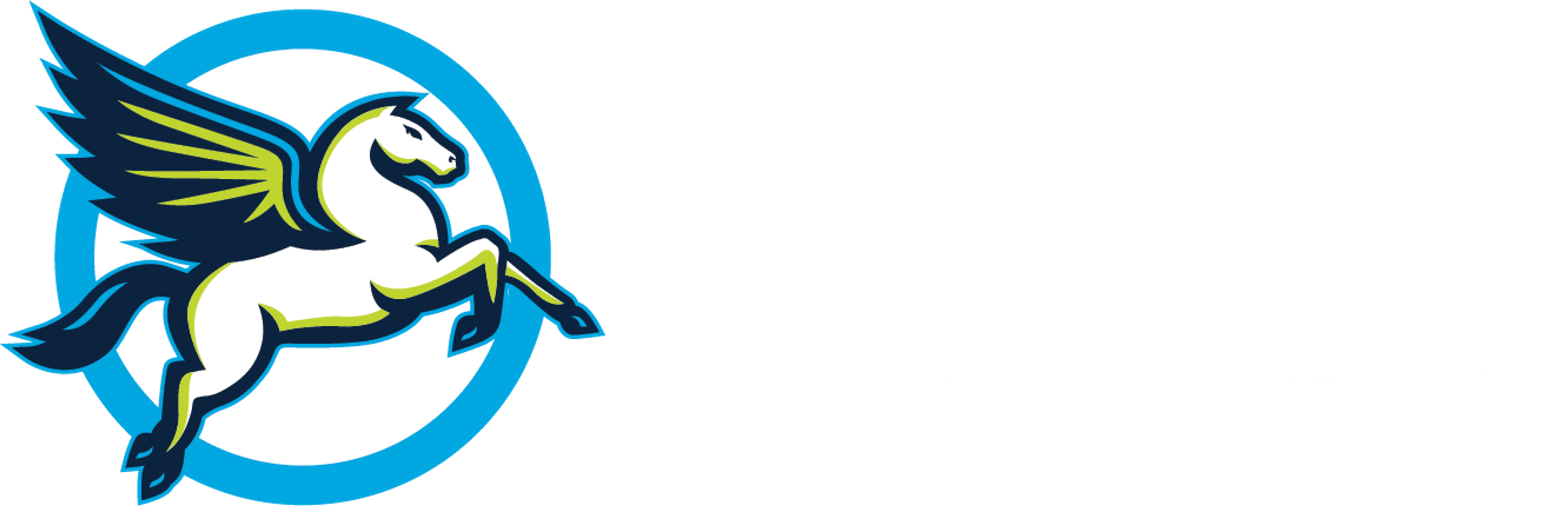 Dallas Wings Community Foundation logo