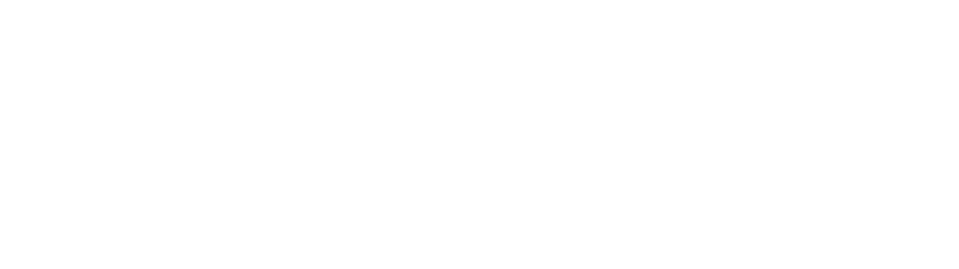 Lions 50/50 raffle to benefit Buffalo disaster relief