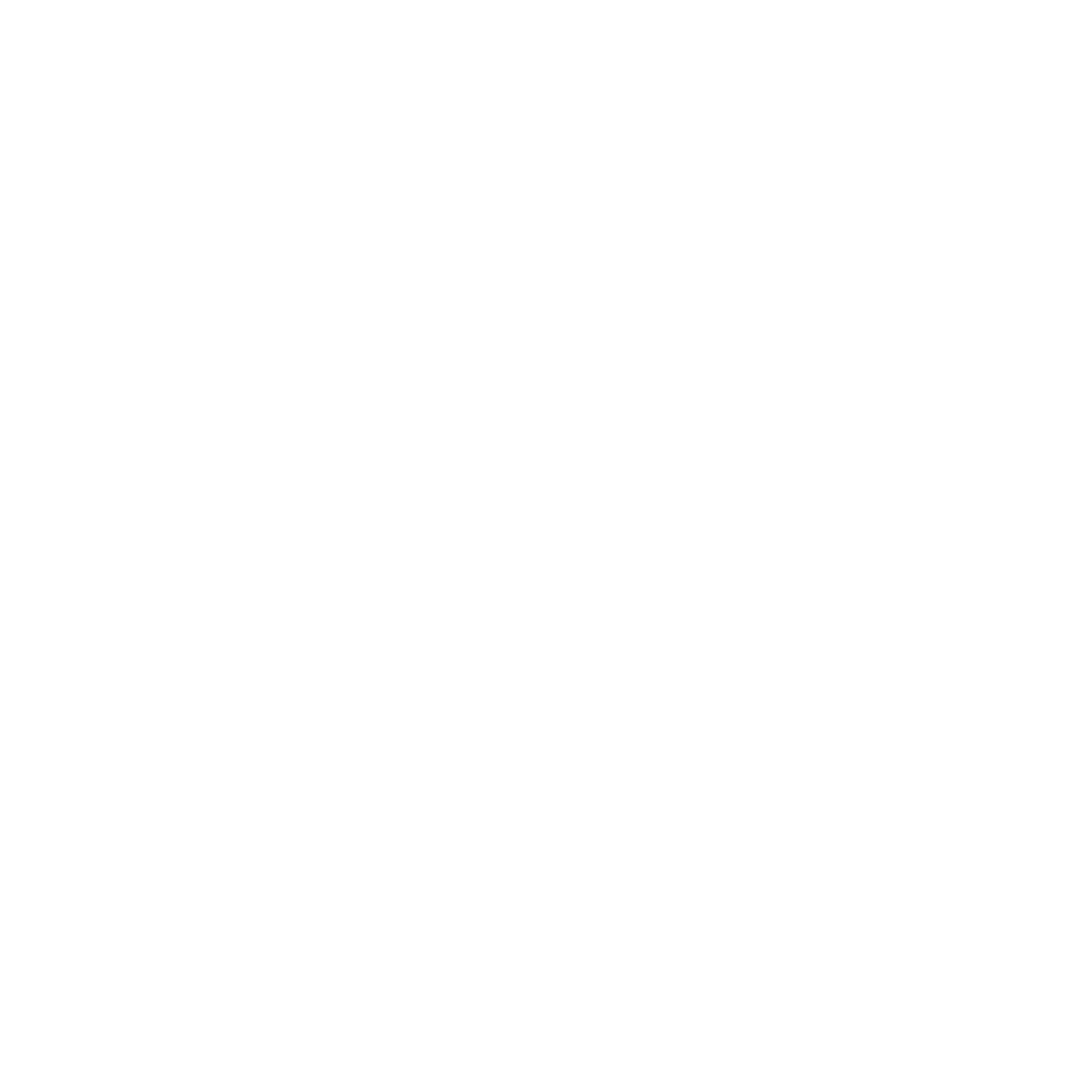 FLEX FOR THE FATHERLESS logo image