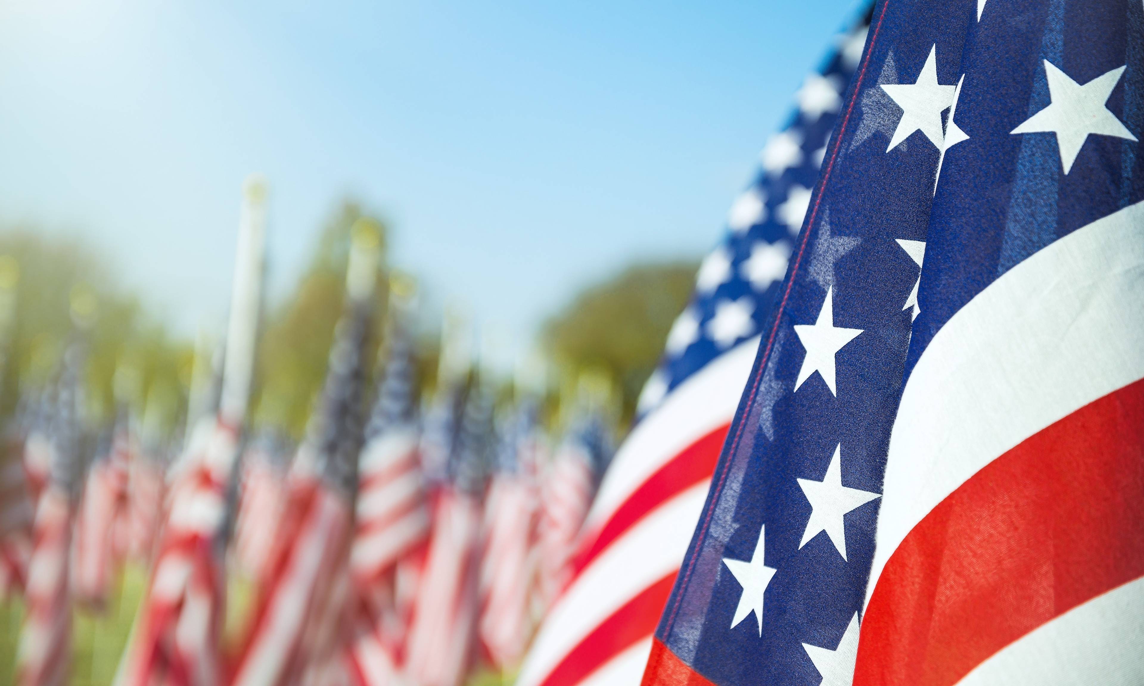 Close-up of an American flag with white stars on blue field and red and white stripes, with rows of blurred flags and green trees in the background under clear blue sky.