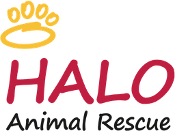 HALO Animal Rescue