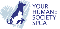 YOUR Humane Society SPCA