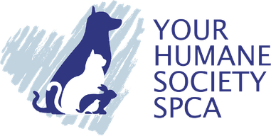 YOUR Humane Society SPCA