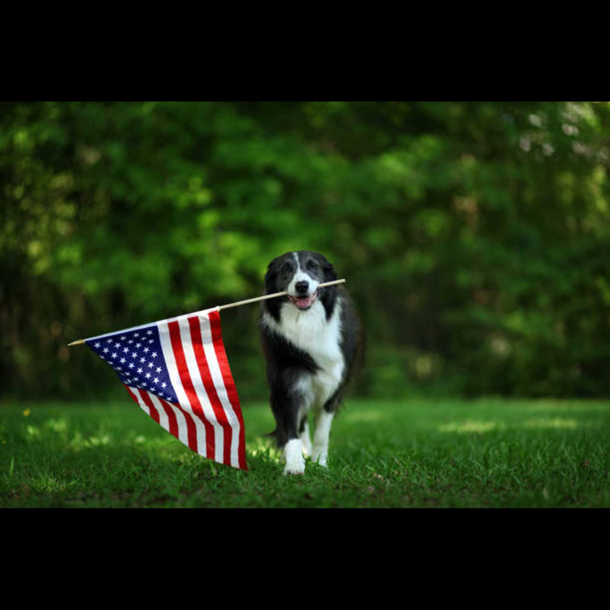 August 50/50 Raffle logo image