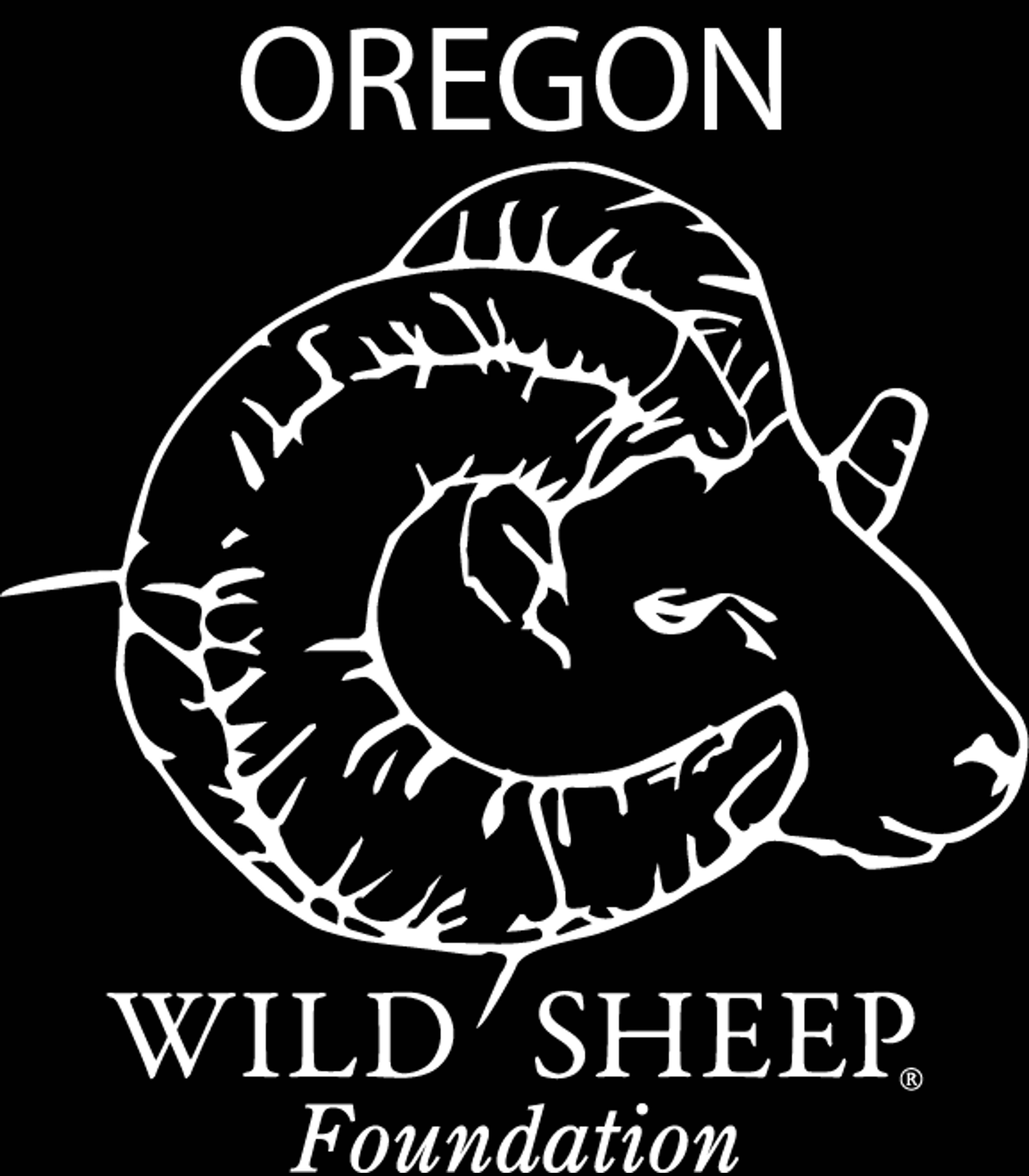 I can see this appears to be a blank or nearly blank image with a light gray or white background. There is no discernible content, text, objects, or visual elements visible to describe.