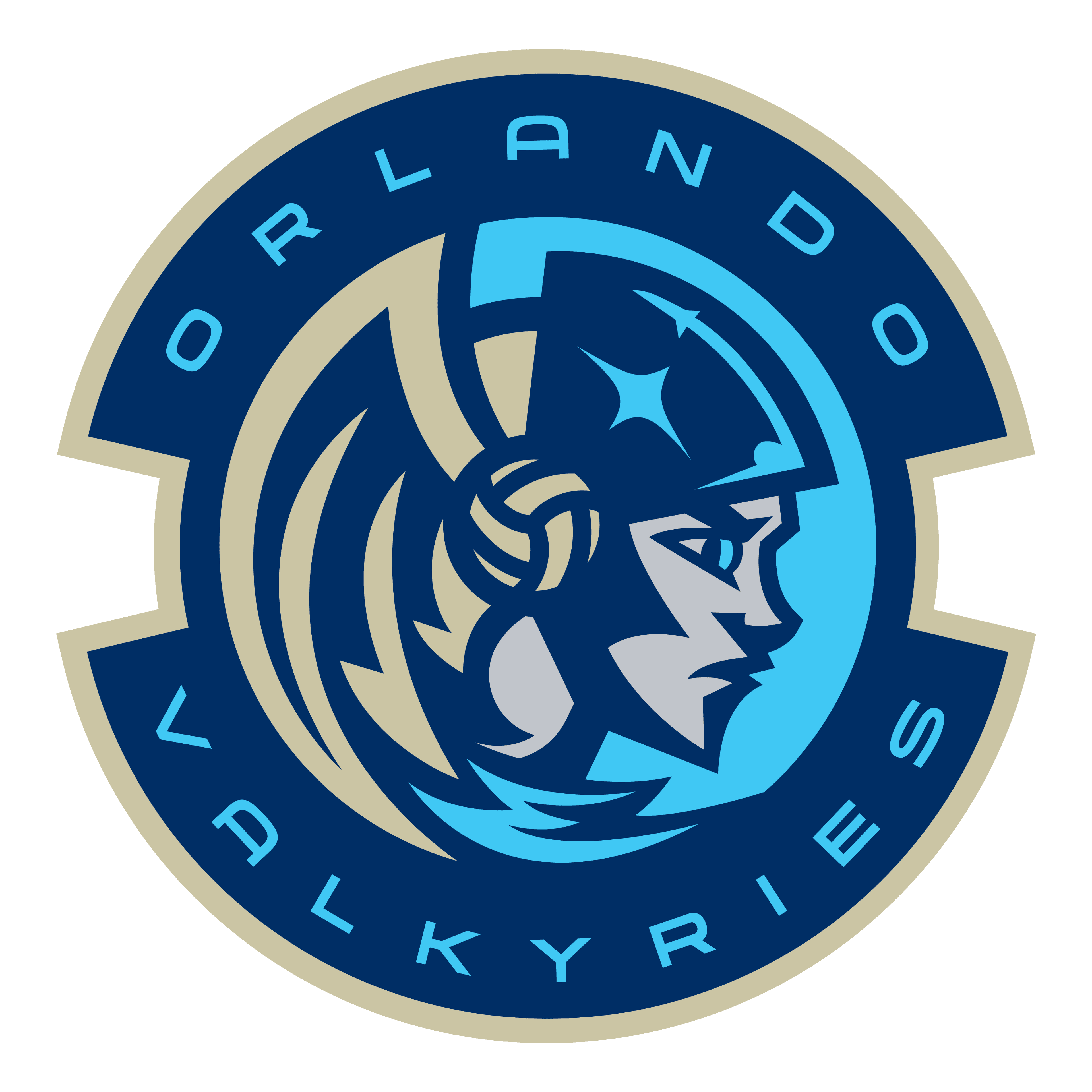 Orlando Valkyries Open House 50/50 Raffle logo image