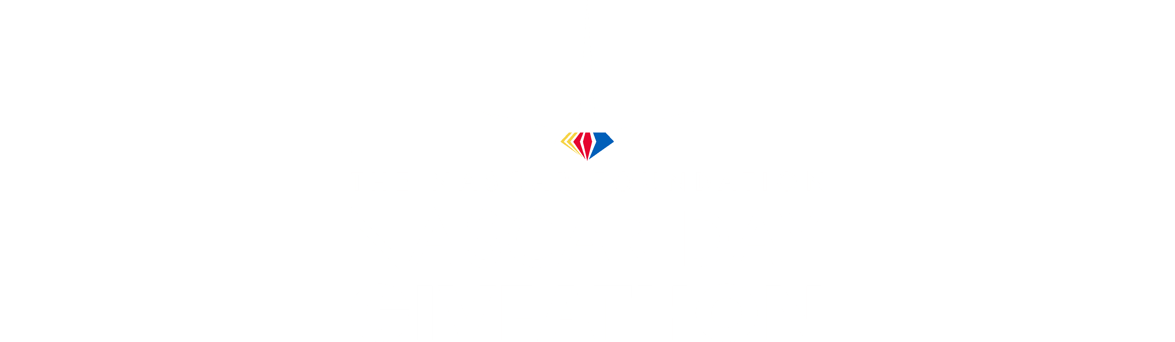 NASCAR Day Giveathon 2023 logo image