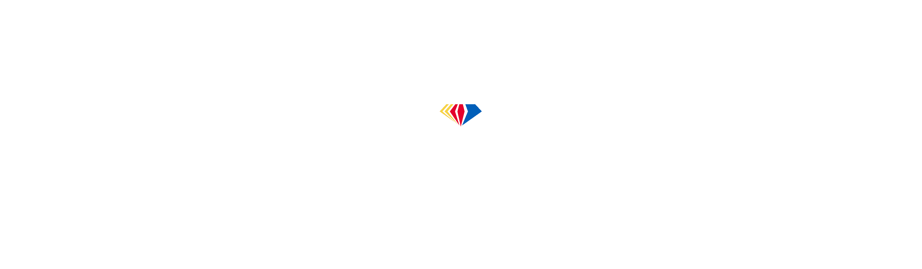 NASCAR Day Giveathon 2023 logo image