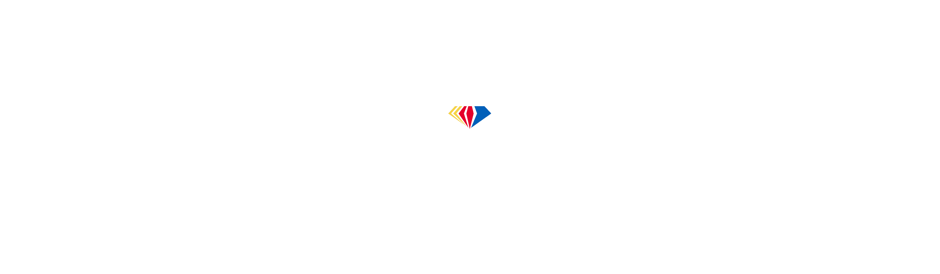 NASCAR Day Giveathon 2023 logo image