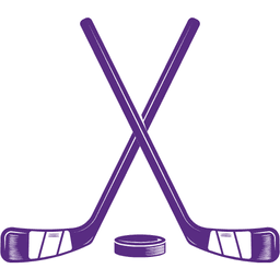 Men's Hockey decorative image