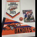 Signed Buffalo Bandits memorabilia collection including a 2025 World Champions banner, team pennant, autographed lacrosse ball, and player trading card featuring Tehoka Nanticoke.