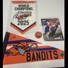 Signed Buffalo Bandits memorabilia collection including a 2025 World Champions banner, team pennant, autographed lacrosse ball, and player trading card featuring Tehoka Nanticoke.