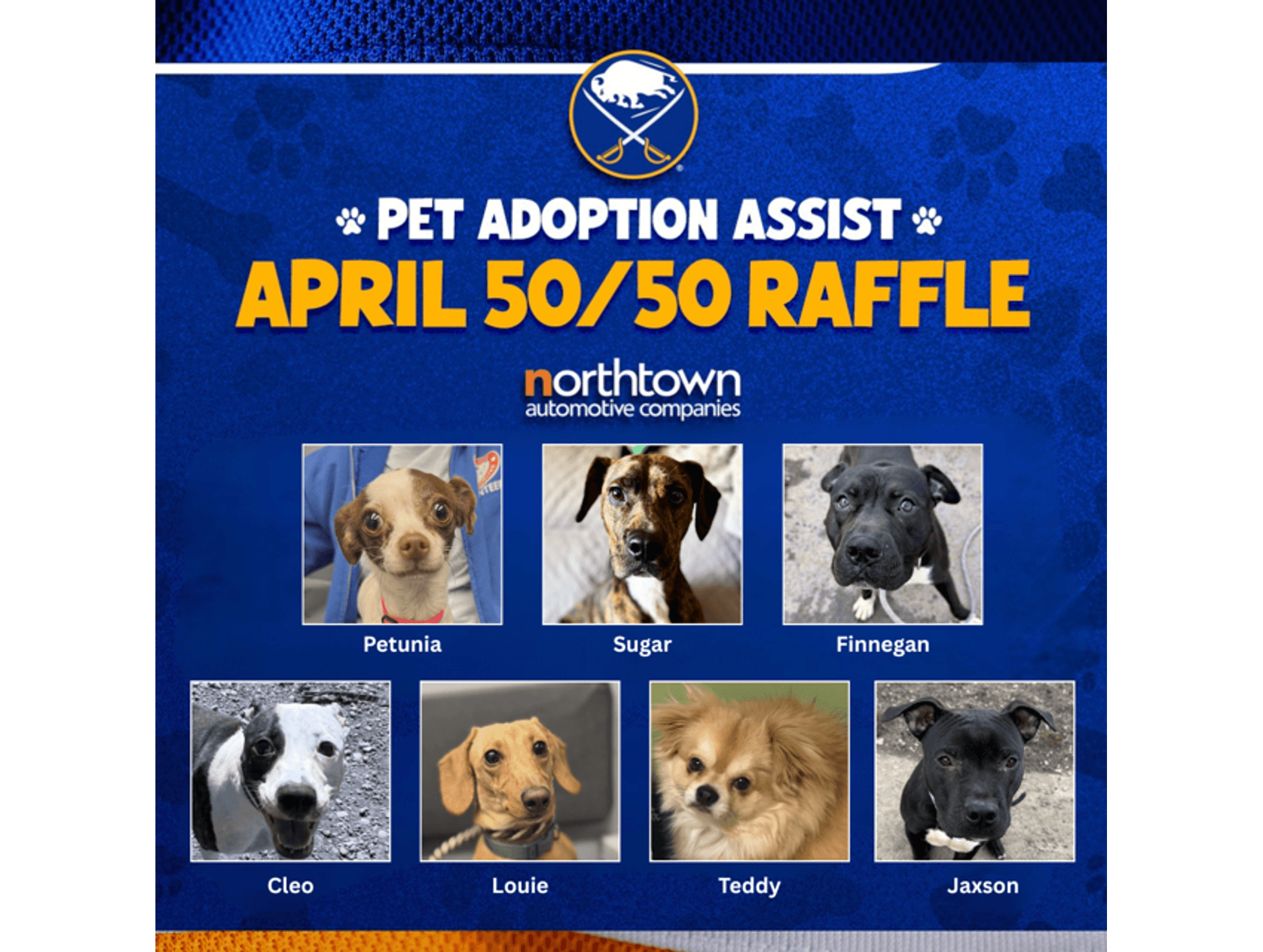 Buffalo Sabres Pet Adoption Assist April 50/50 Raffle featuring seven adoptable dogs: Petunia, Sugar, Finnegan, Cleo, Louie, Teddy, and Jaxson, sponsored by Northtown Automotive Companies.