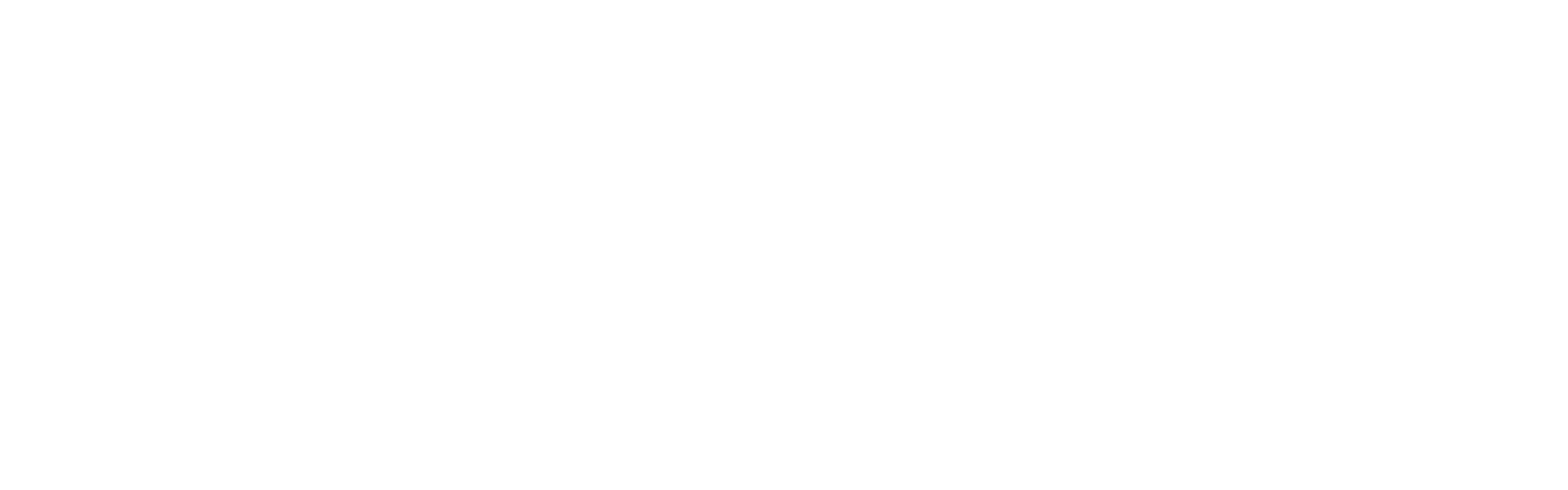 2026 GENERAL RAFFLE logo image