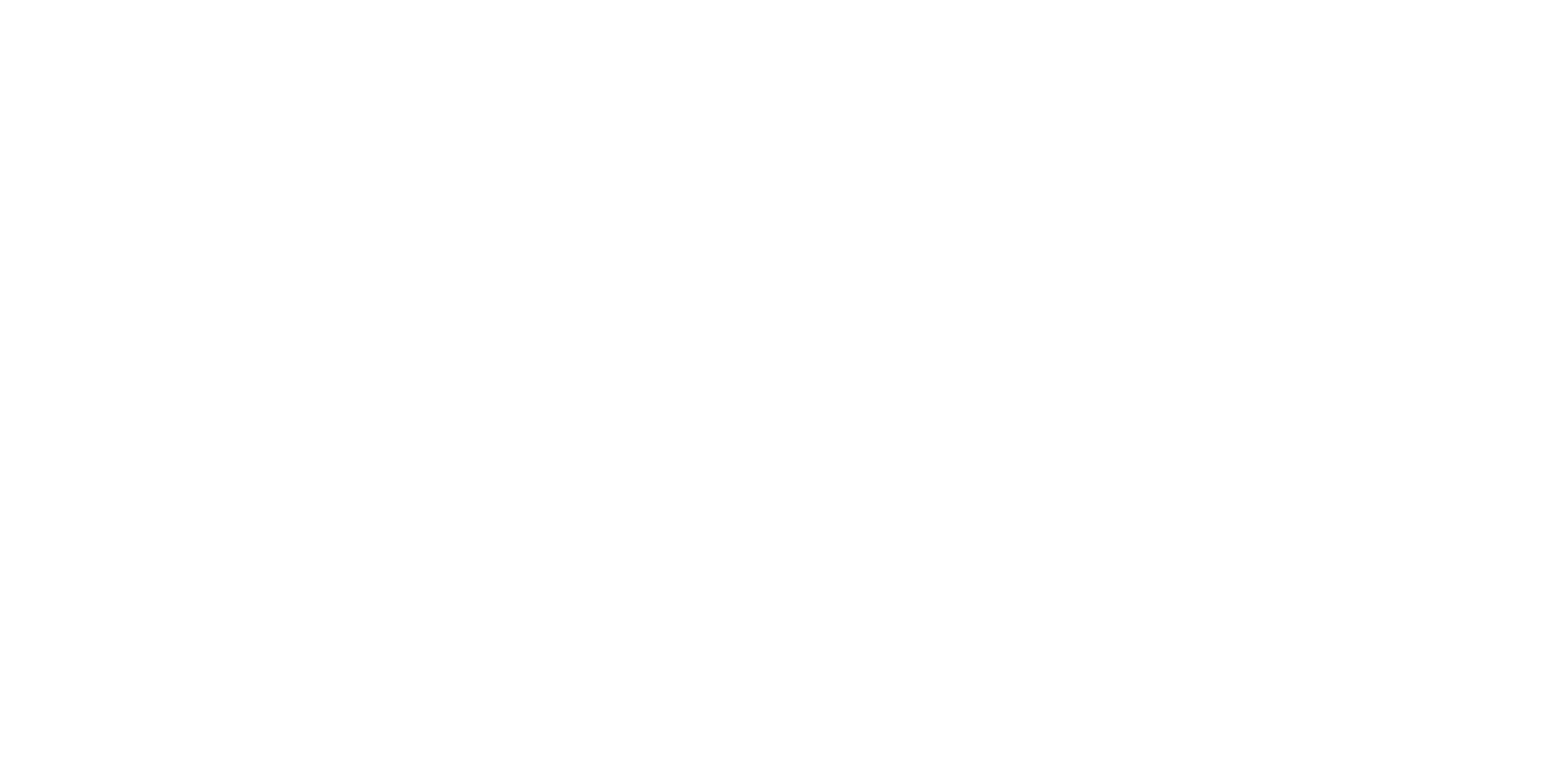 2025 GENERAL RAFFLE logo image