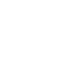 Wild Sheep Foundation logo