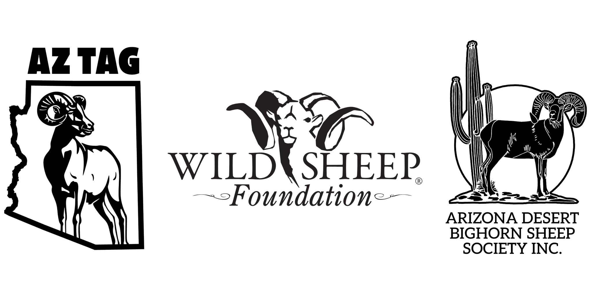 ARIZONA ROCKY MOUNTAIN BIGHORN RAFFLE TAG!