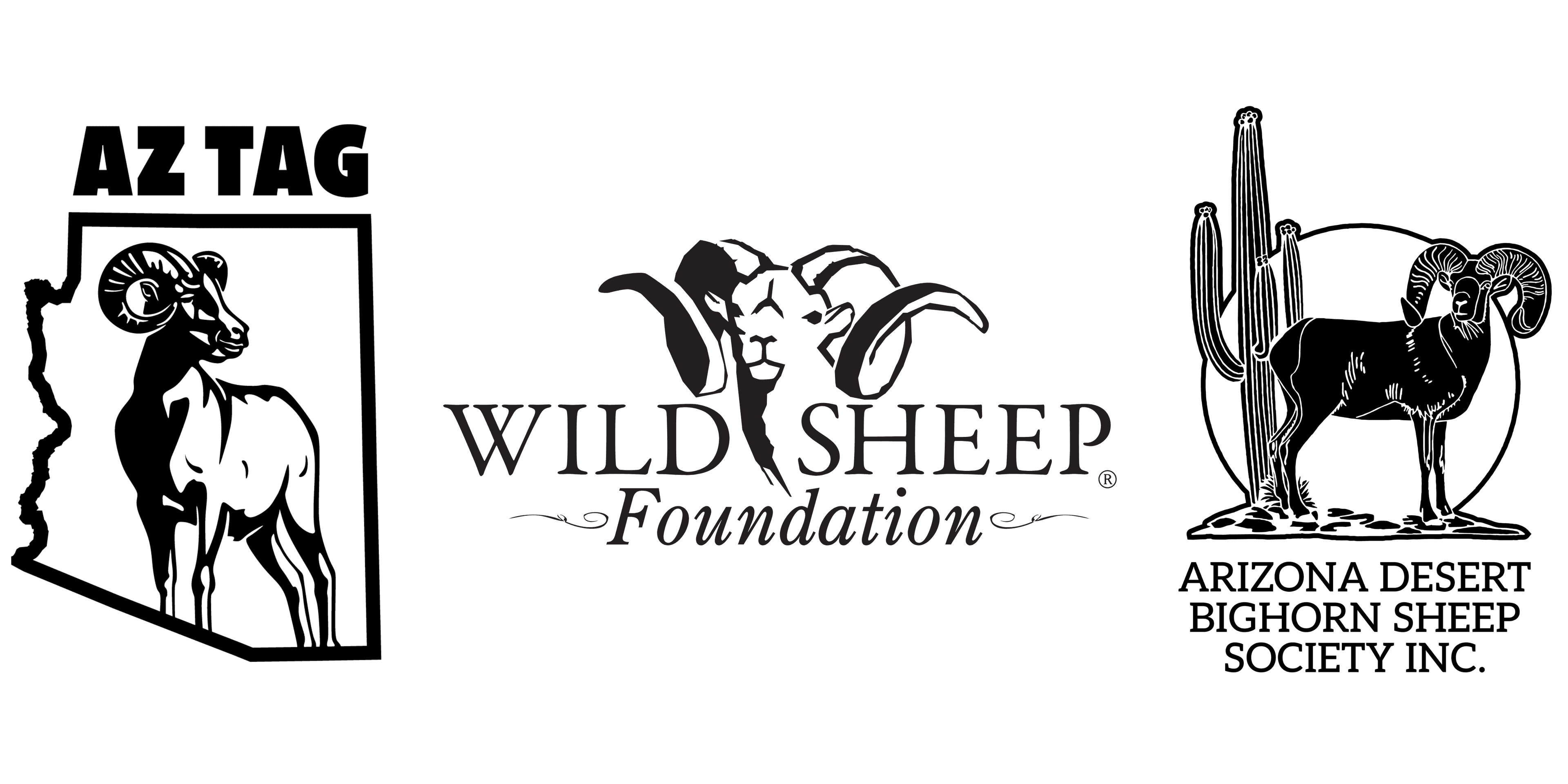 ARIZONA ROCKY MOUNTAIN BIGHORN RAFFLE TAG!