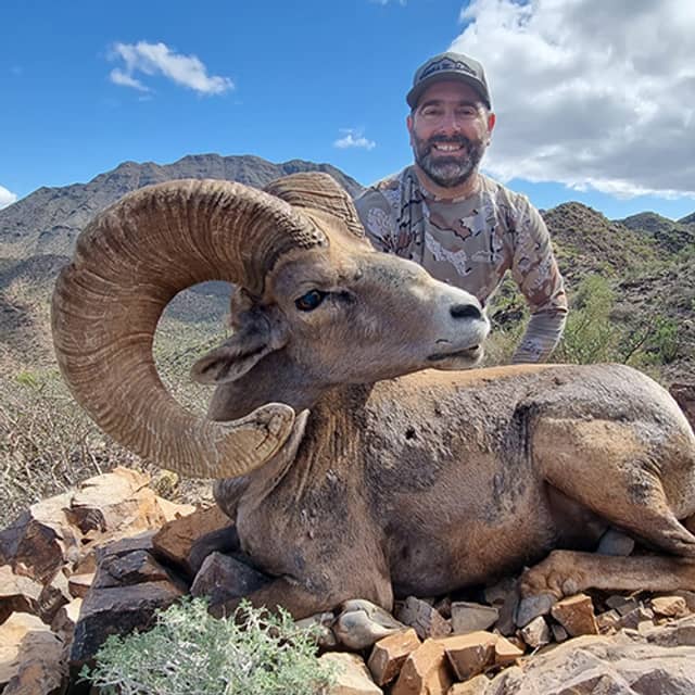 A hunter poses with a harvested bighorn sheep with large curved horns in a desert mountain landscape under a blue sky with white clouds.
