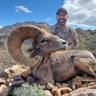 A hunter poses with a harvested bighorn sheep with large curved horns in a desert mountain landscape under a blue sky with white clouds.
