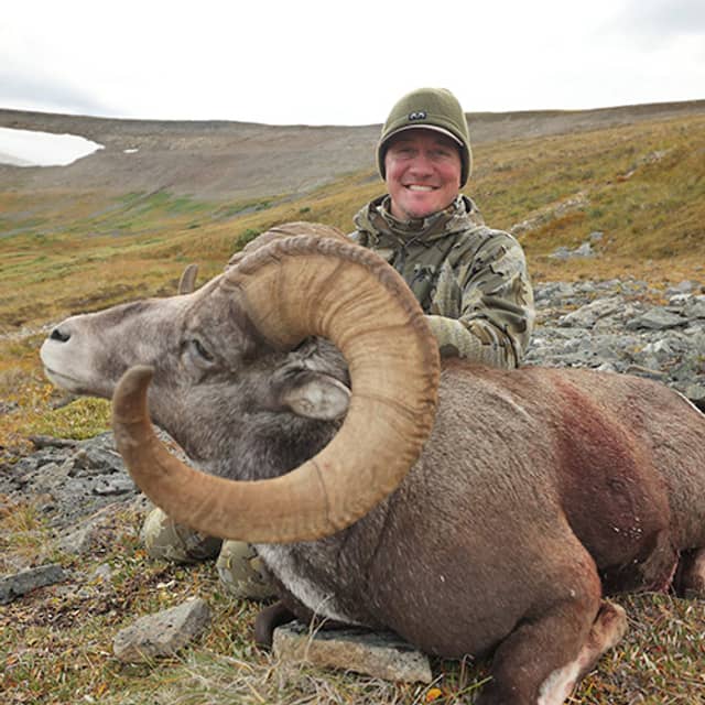 Hunter posing with a large curved-horn ram in a mountainous, tundra landscape wearing camouflage and a cap.
